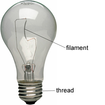 bulb.jpg