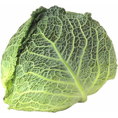 cabbage.jpg