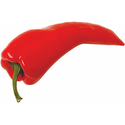 chili_pepper.jpg
