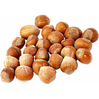 hazelnuts.jpg