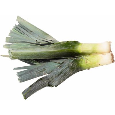 leek.jpg