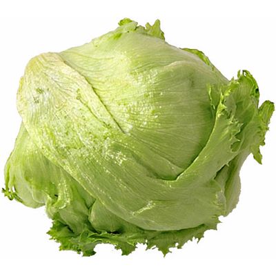 lettuce.jpg