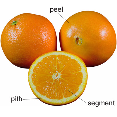 oranges.jpg