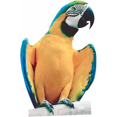 parrot.jpg